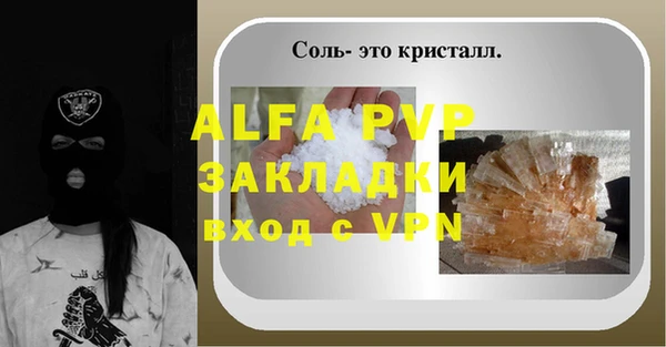 эйфоретик Болотное
