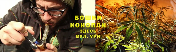 2c-b Богданович