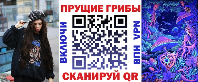 закладка Надым Галлюциногенные грибы Psilocybe
